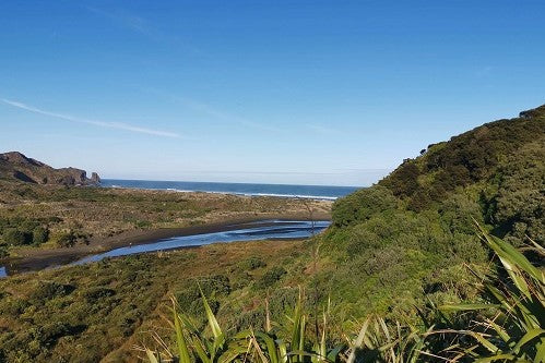 2-Minute Trails: Te Henga Walkway