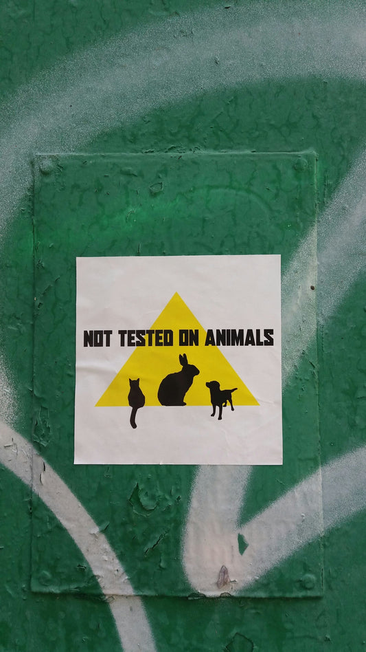 cruelty free deodorants